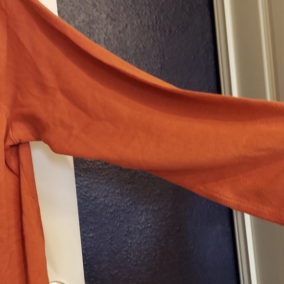 Jessica London's Rust Cowl Neck Tunic - Picture 3 of 6